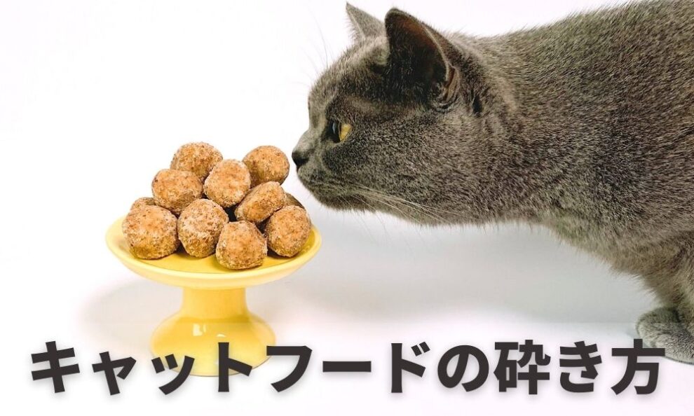 キャットフードを砕く理由と簡単な砕き方！餌が噛めない猫も食べやすくする便利な道具 キャットフードの達人